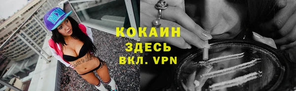 дживик Алзамай