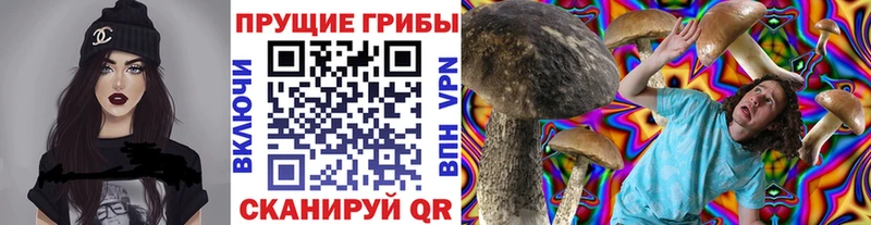 Купить где Бузулук Галлюциногенные грибы Cubensis